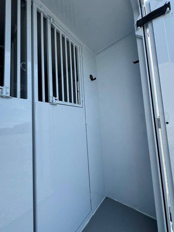 Van per Cavalli TBST RENAULT MASTER 2024 Nuovo