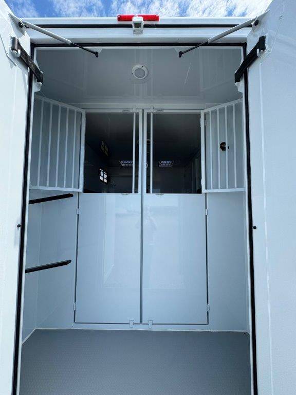 Van per Cavalli TBST RENAULT MASTER 2024 Nuovo