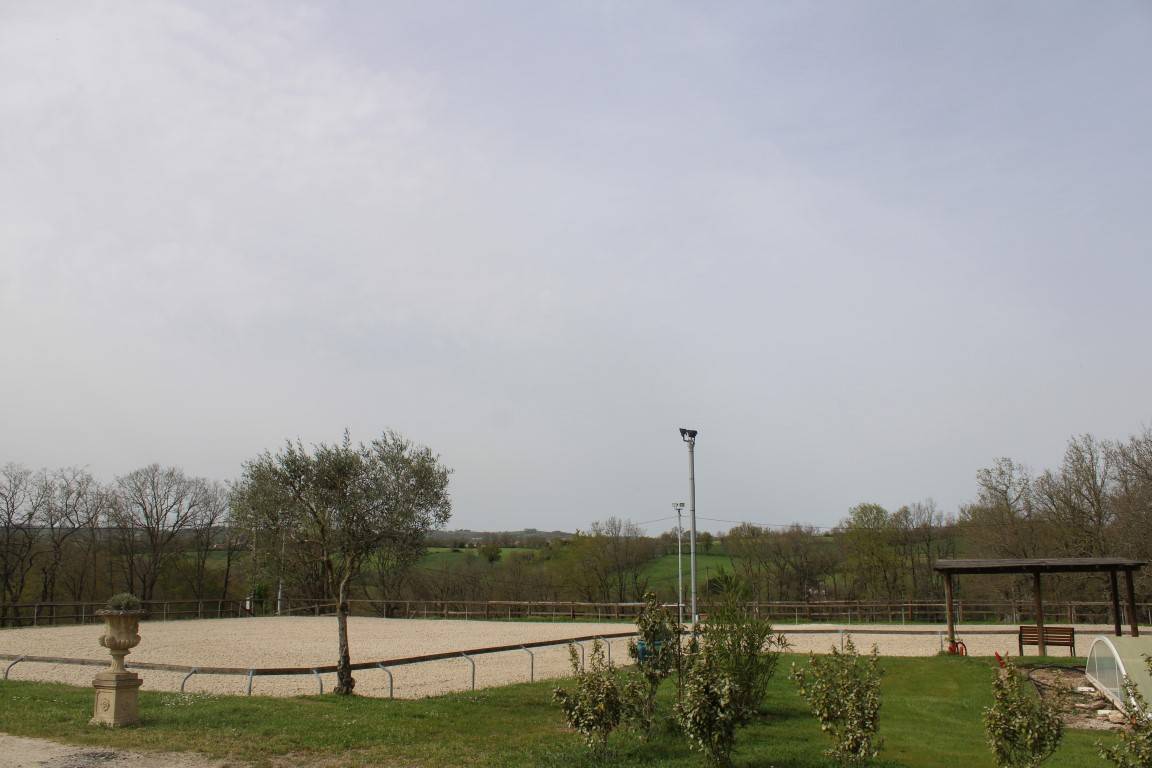 Proprietà equestre In vendita tarn