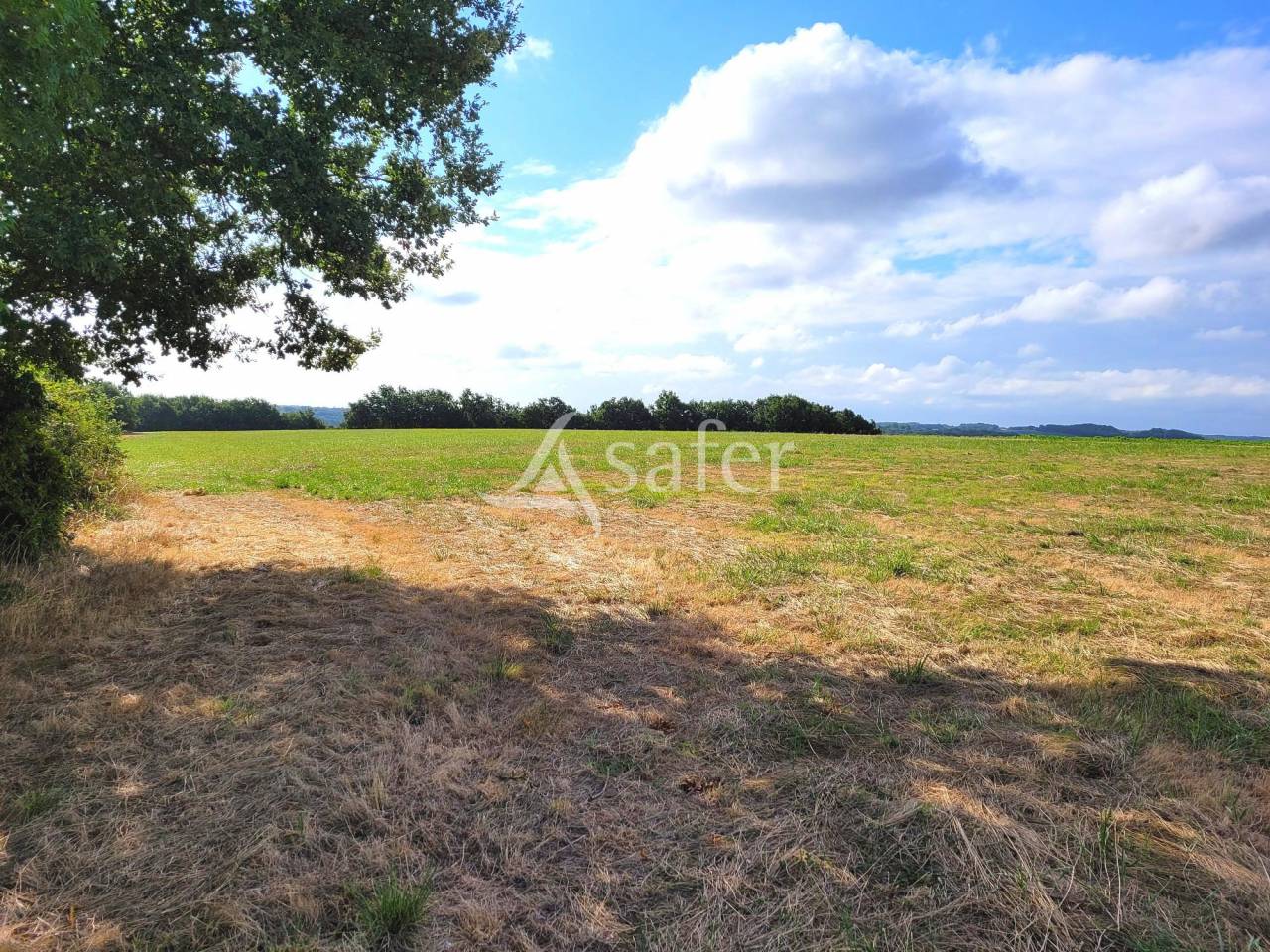 Proprietà equestre In vendita Tarn-et-Garonne