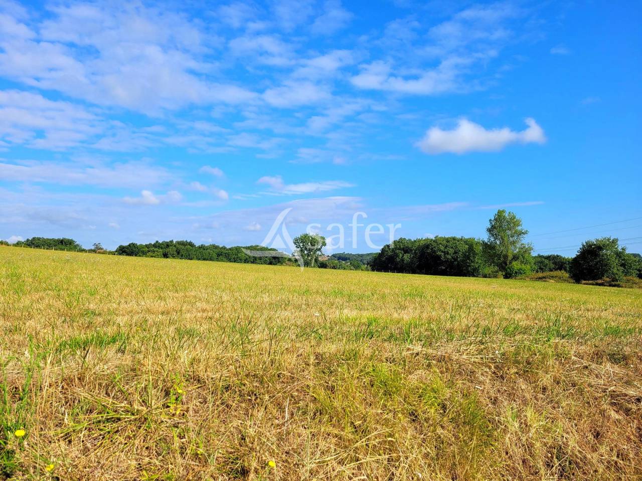Proprietà equestre In vendita Tarn-et-Garonne