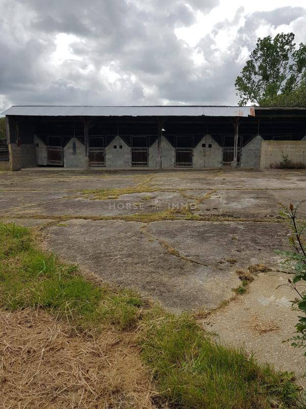 Proprietà equestre In vendita Vendée