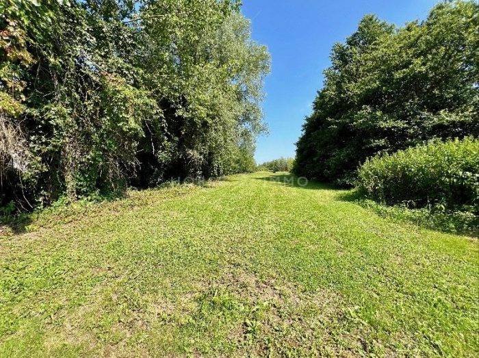 Proprietà equestre In vendita Ain