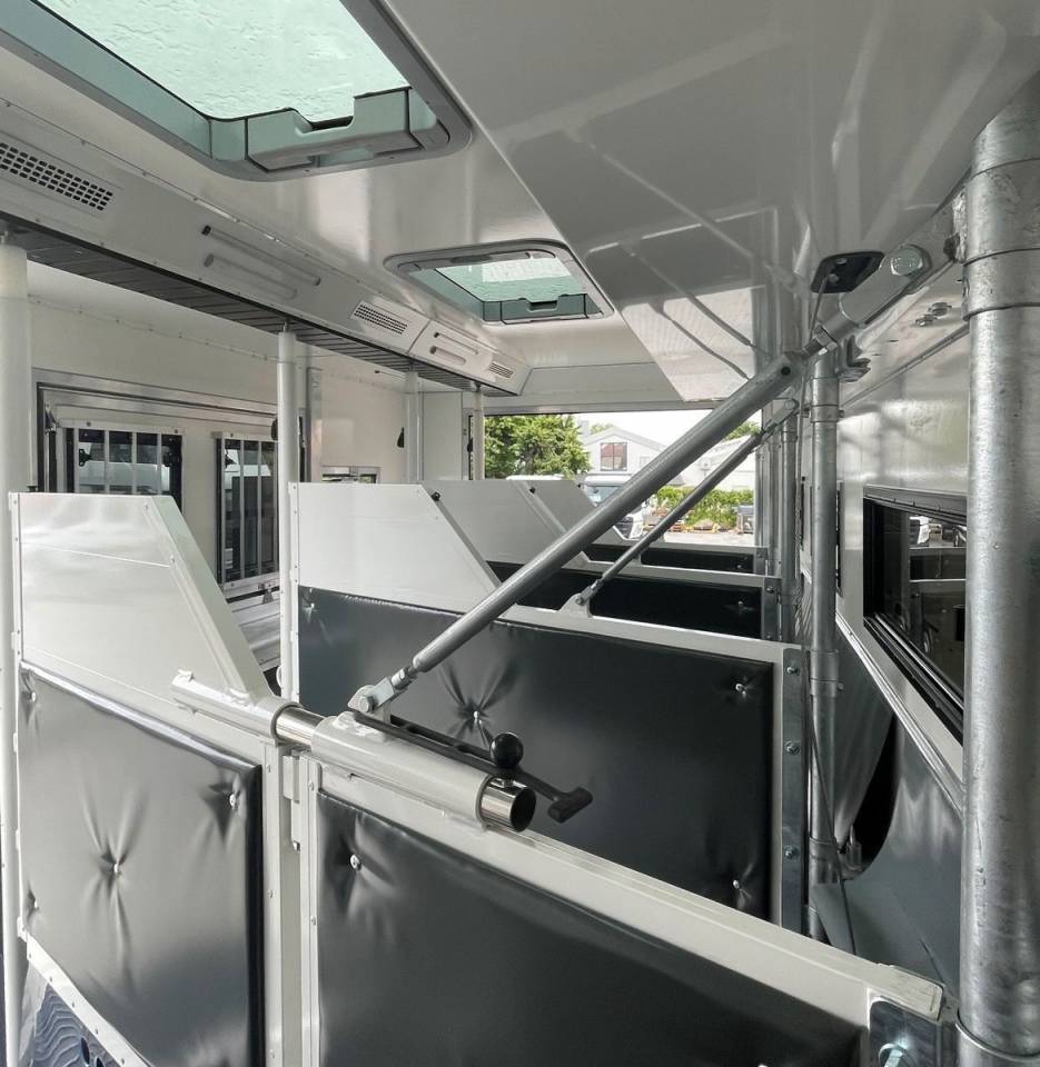 Camion per Cavalli Man MAN 0 Nuovo