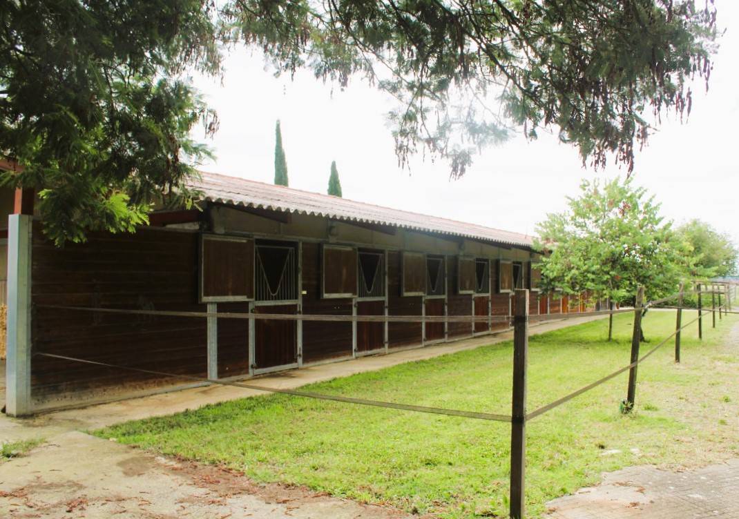 Proprietà equestre In vendita Gers