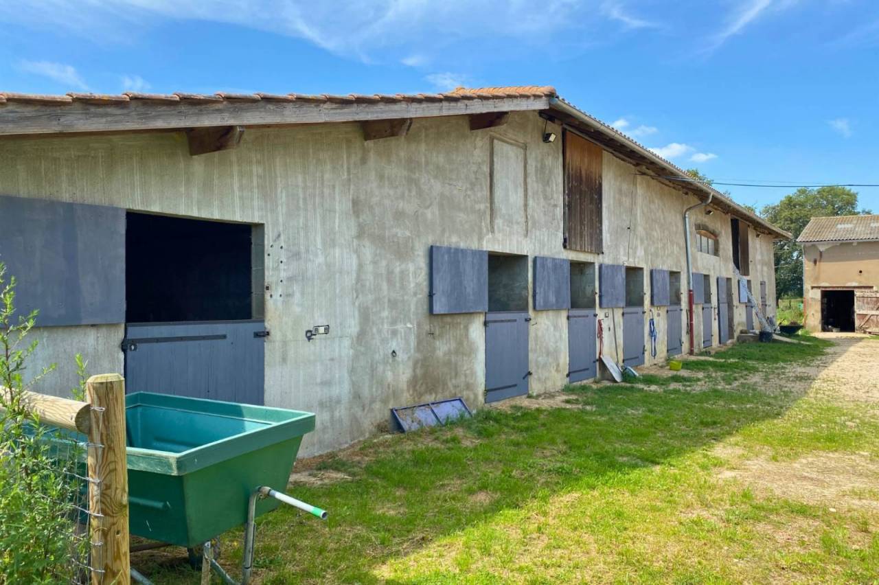 Propriet&agrave; equestre In vendita Ain