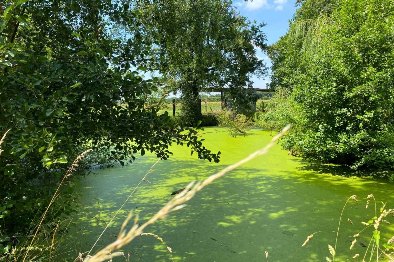 Propriet&agrave; equestre In vendita Ain