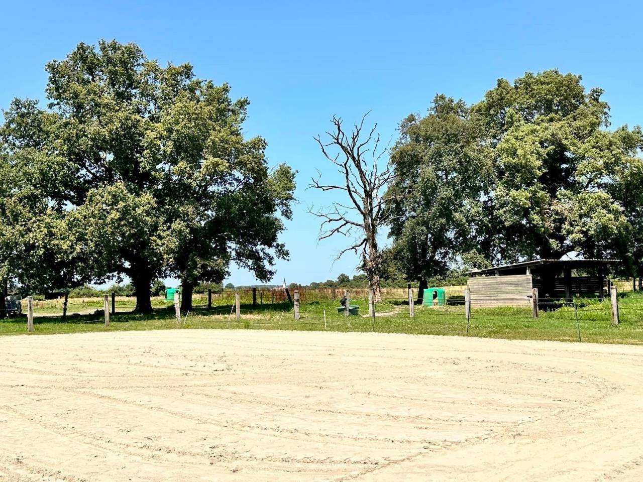 Propriet&agrave; equestre In vendita Ain