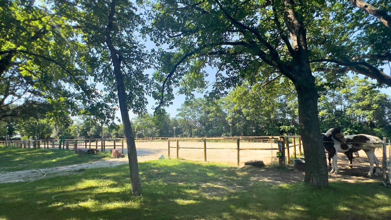 Propriet&agrave; equestre In vendita Aude