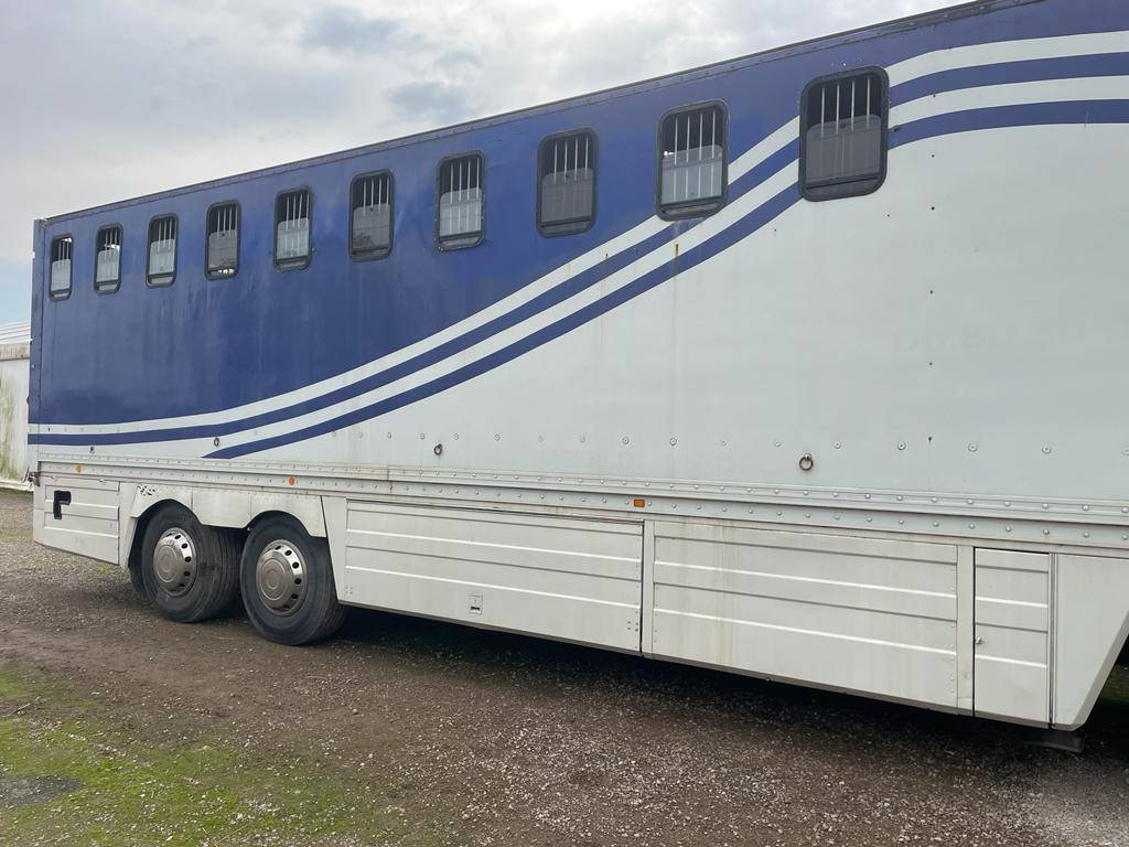 Camion per Cavalli Renault RENAULT 0 Occasione