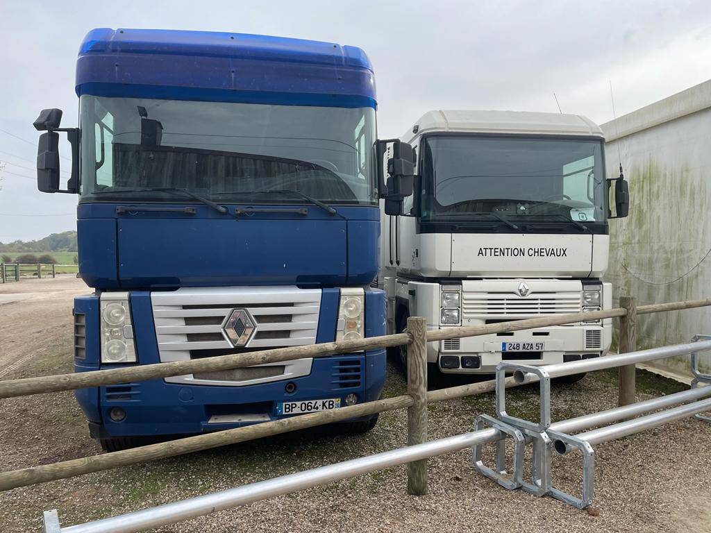 Camion per Cavalli Renault RENAULT 0 Occasione