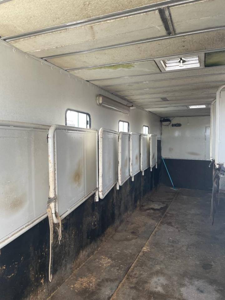 Camion per Cavalli Renault RENAULT 0 Occasione