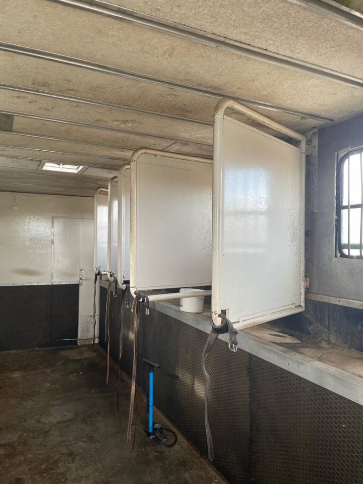 Camion per Cavalli Renault RENAULT 0 Occasione