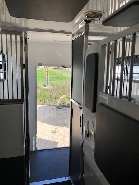 Van per Cavalli Trans Box New Svelto 3 2024 Occasione