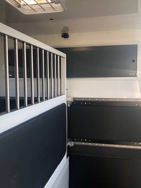 Van per Cavalli Trans Box New Svelto 3 2024 Occasione