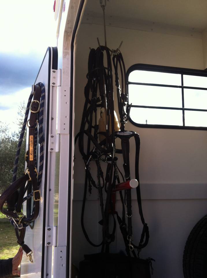 Van per Cavalli Trans Box New Svelto 3 2024 Occasione