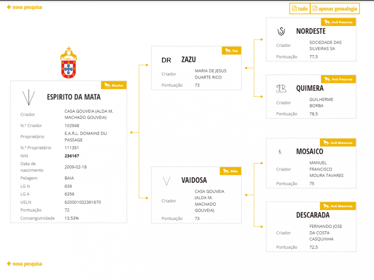 Stallone Lusitano In vendita 2009 Isabella