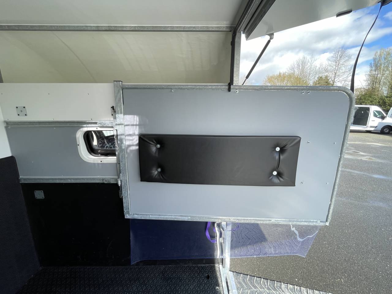 Van per Cavalli AP Petit Renault MASTER L2 2020 Occasione