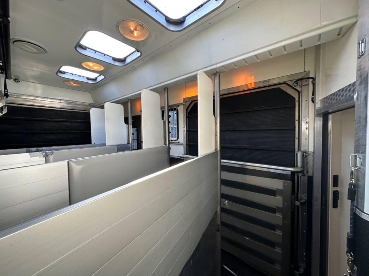 Camion per Cavalli Scania SCANIA 0 Occasione