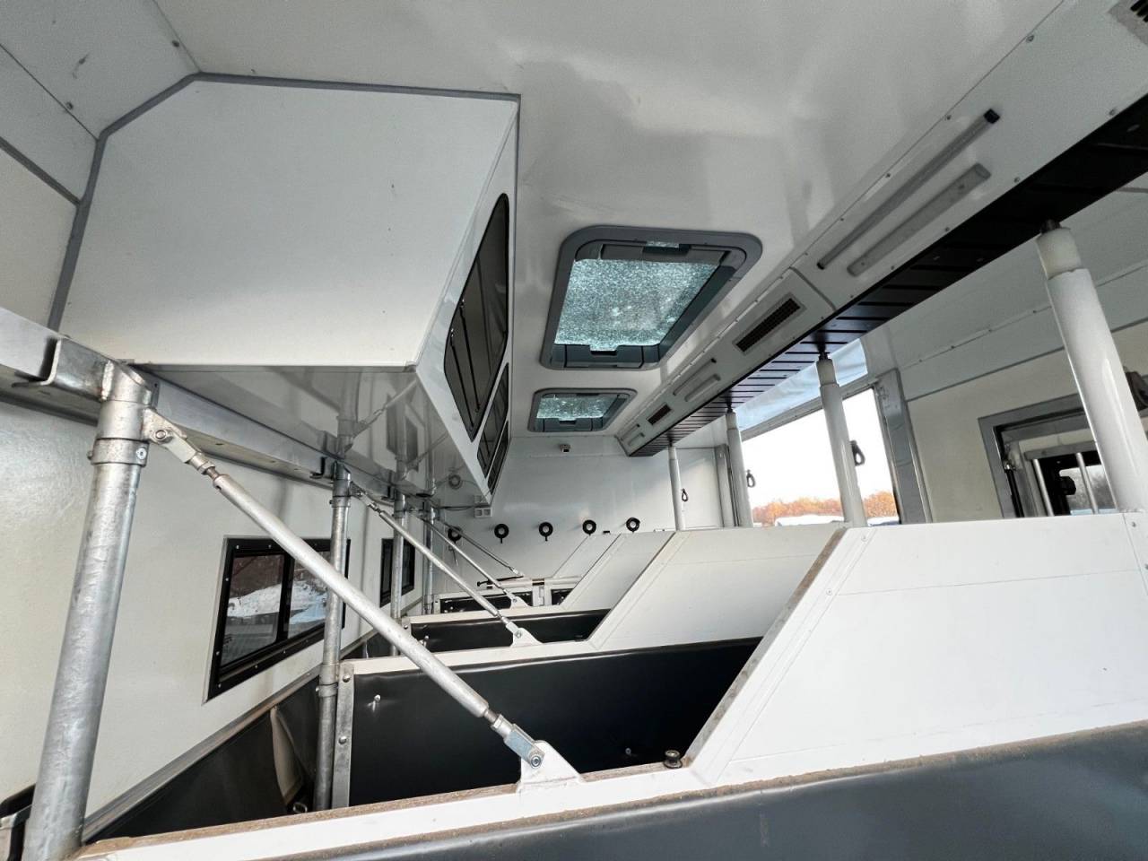 Camion per Cavalli Man MAN 0 Occasione