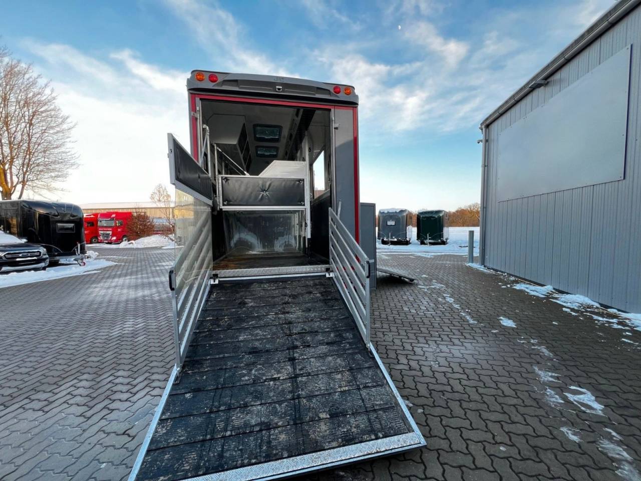 Camion per Cavalli Man MAN 0 Occasione