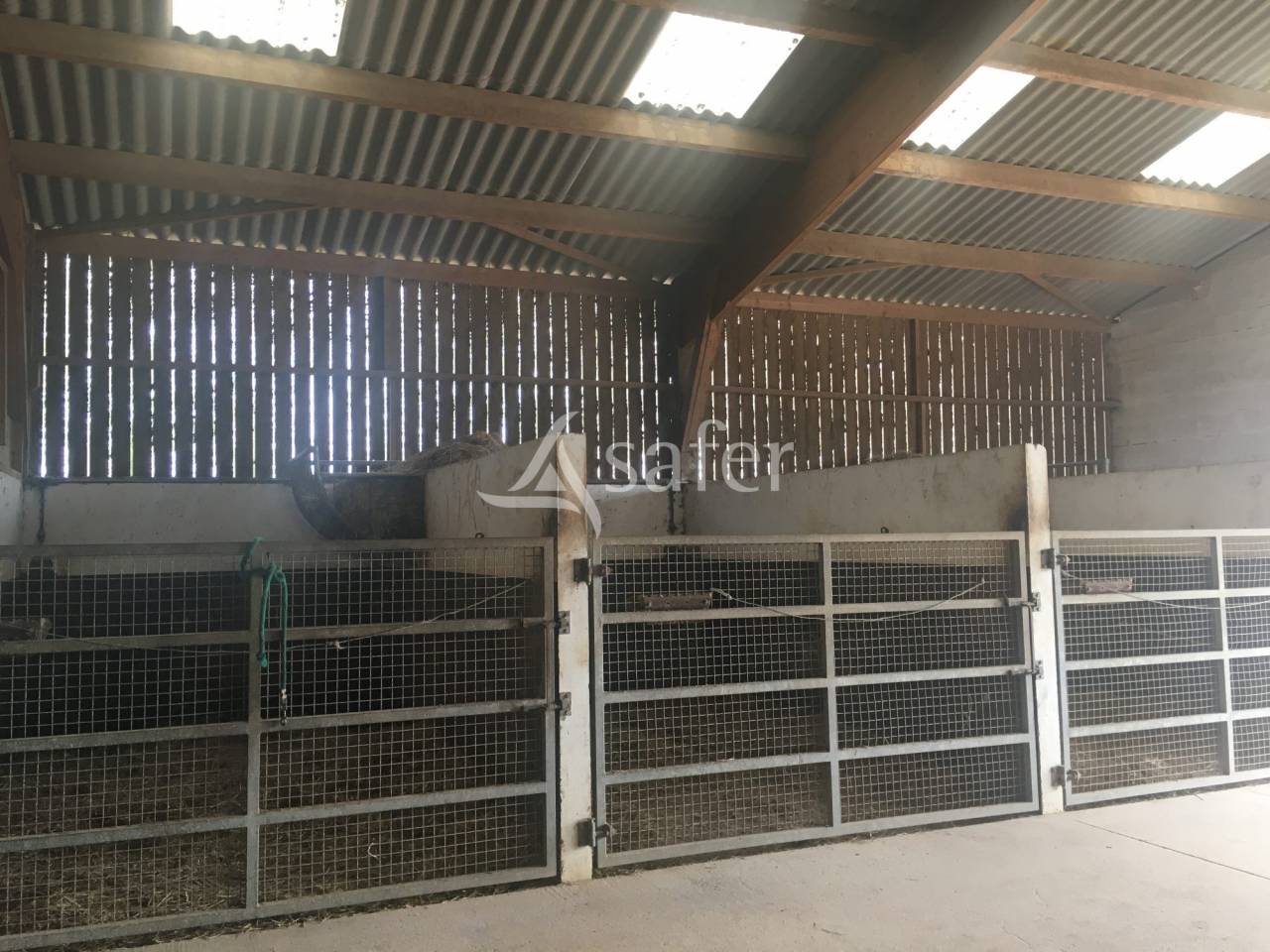 Proprietà equestre In vendita Orne