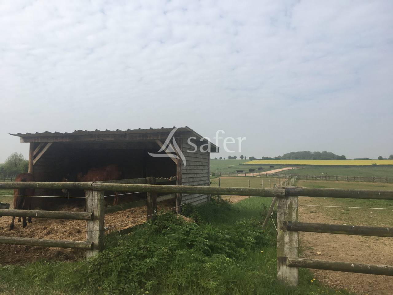 Proprietà equestre In vendita Orne