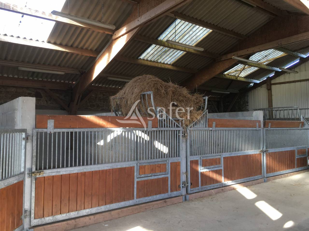 Azienda forestale In vendita Orne