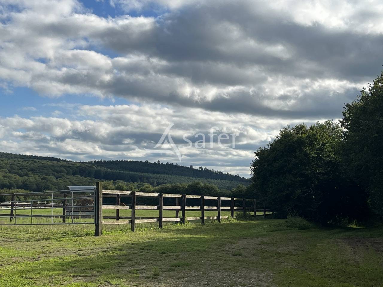 Azienda forestale In vendita Orne