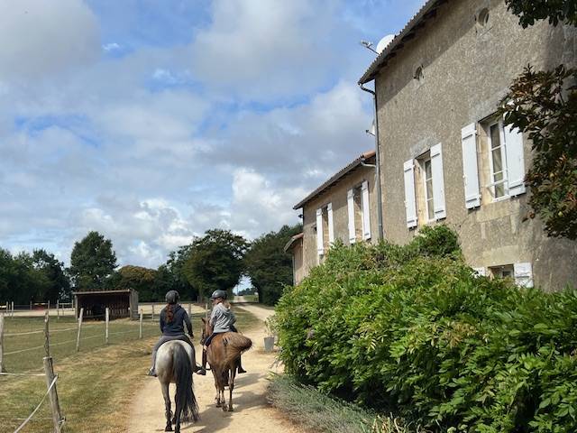 Bella dimora equestre In vendita Vienne