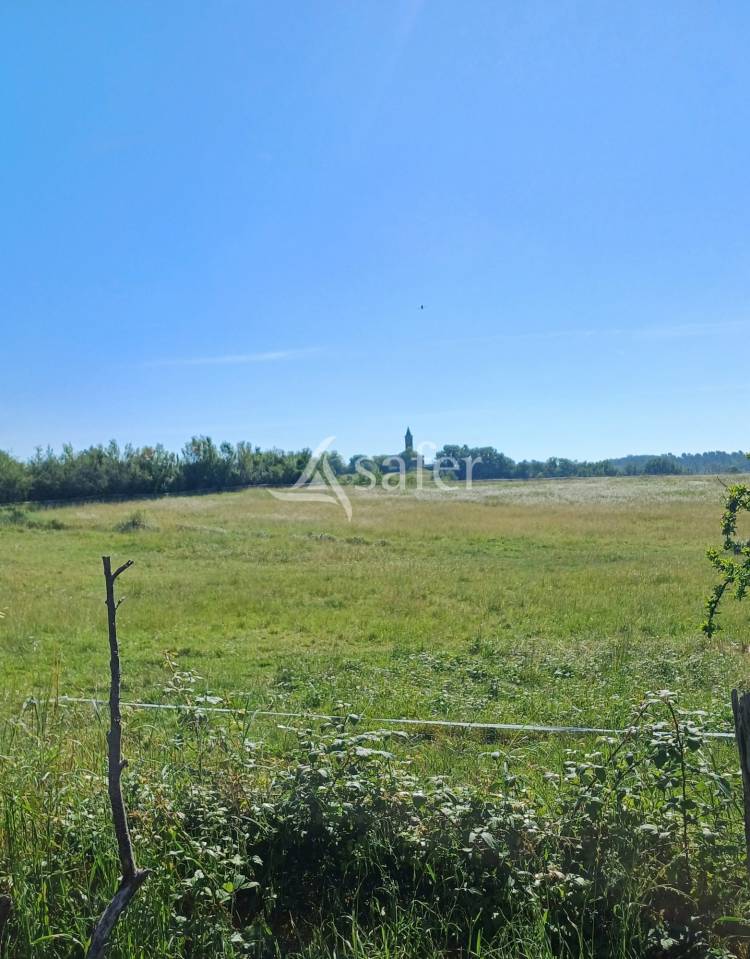 Azienda agricola In vendita Dordogne