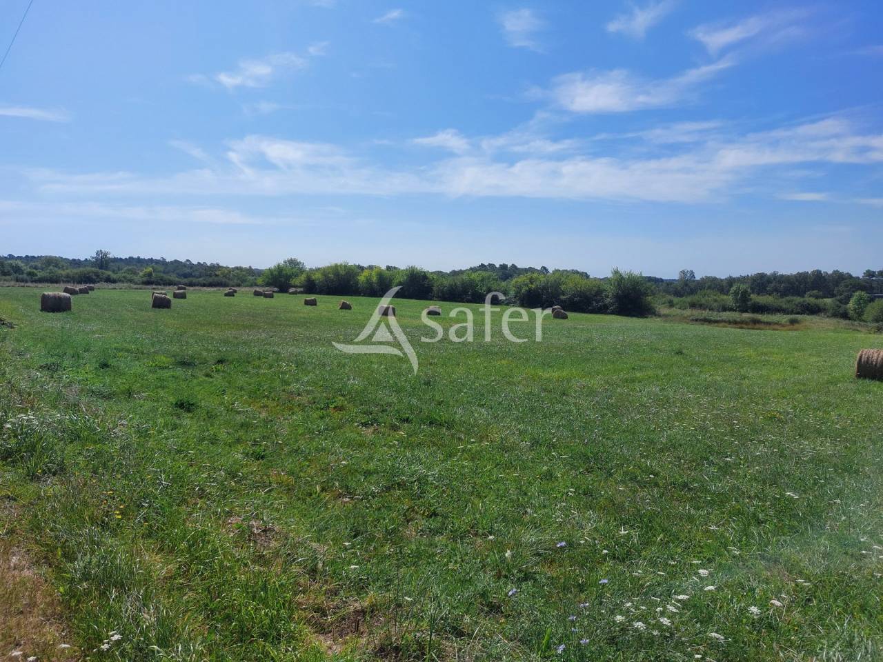 Azienda agricola In vendita Dordogne