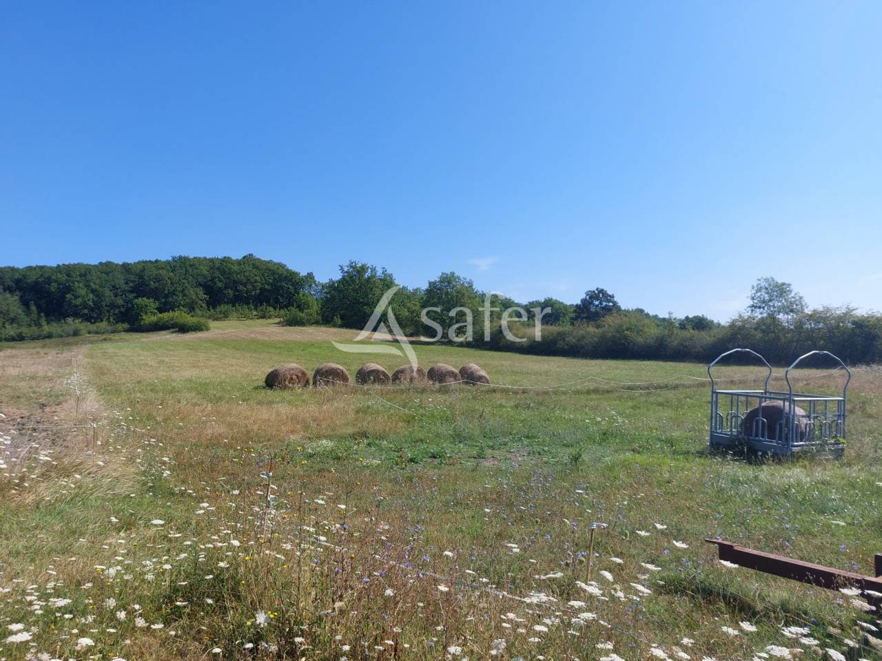 Azienda agricola In vendita Dordogne