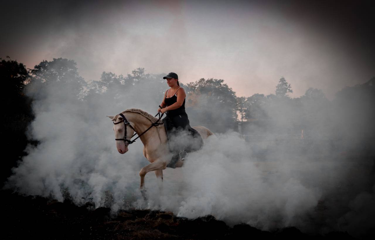 Karajan d'Aure  - Lusitano 2020 ,  Delirio de Bouchetis