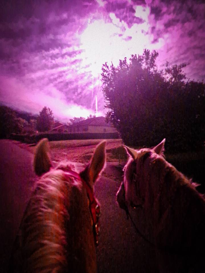 Karajan d'Aure  - Lusitano 2020 ,  Delirio de Bouchetis