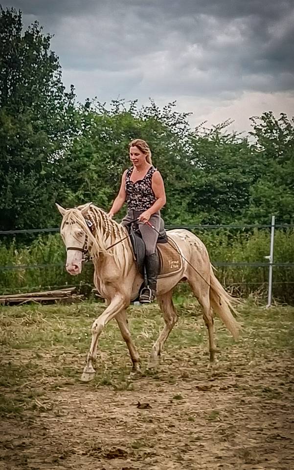 Karajan d'Aure  - Lusitano 2020 ,  Delirio de Bouchetis