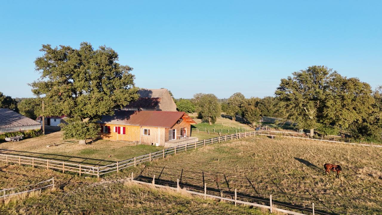 Centro di stagione cavallo In vendita Allier