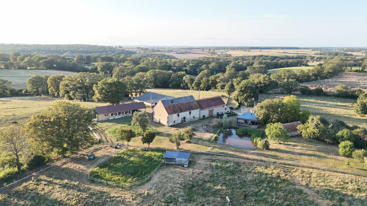 Centro di stagione cavallo In vendita Allier