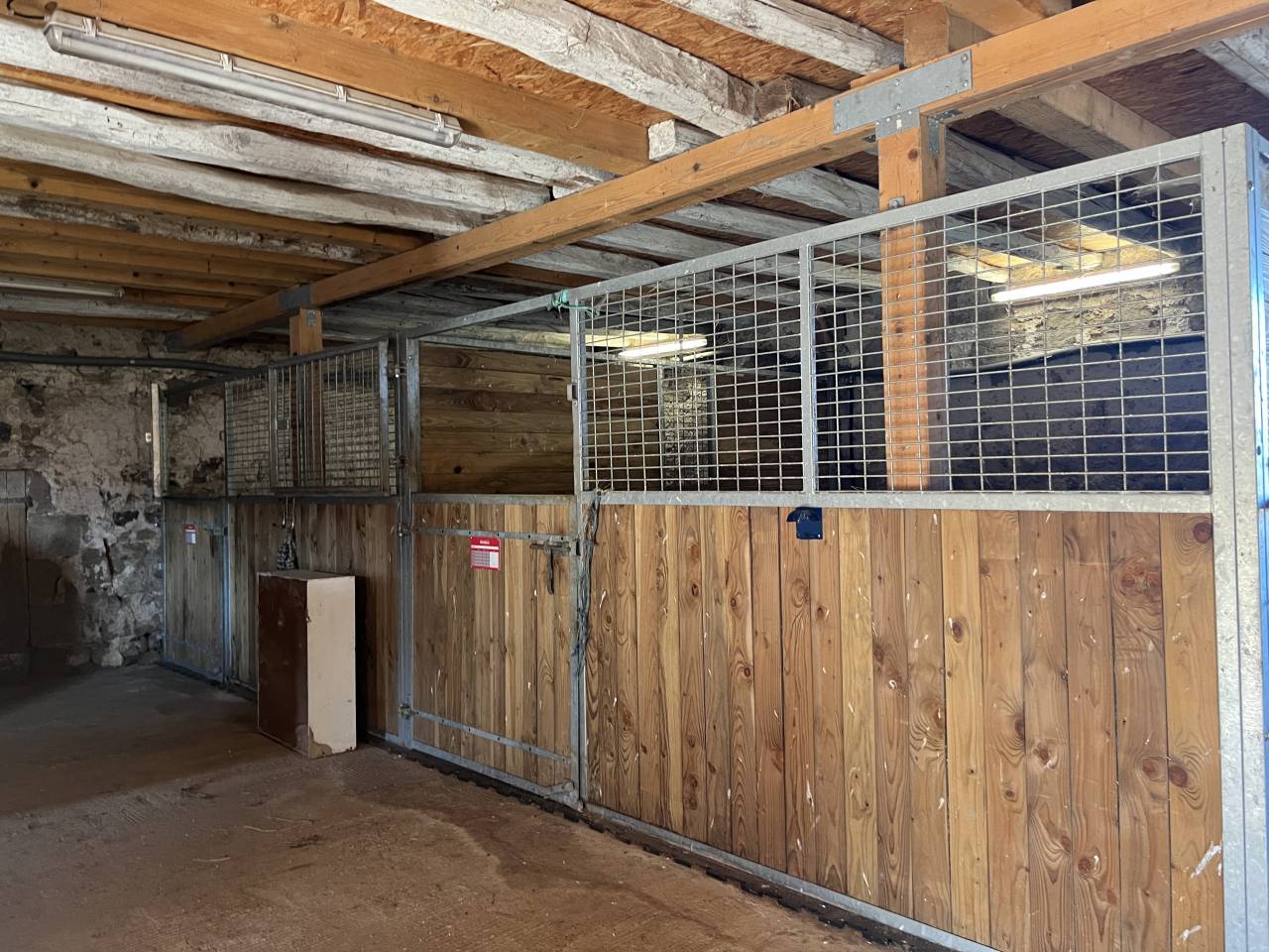 Centro di stagione cavallo In vendita Allier