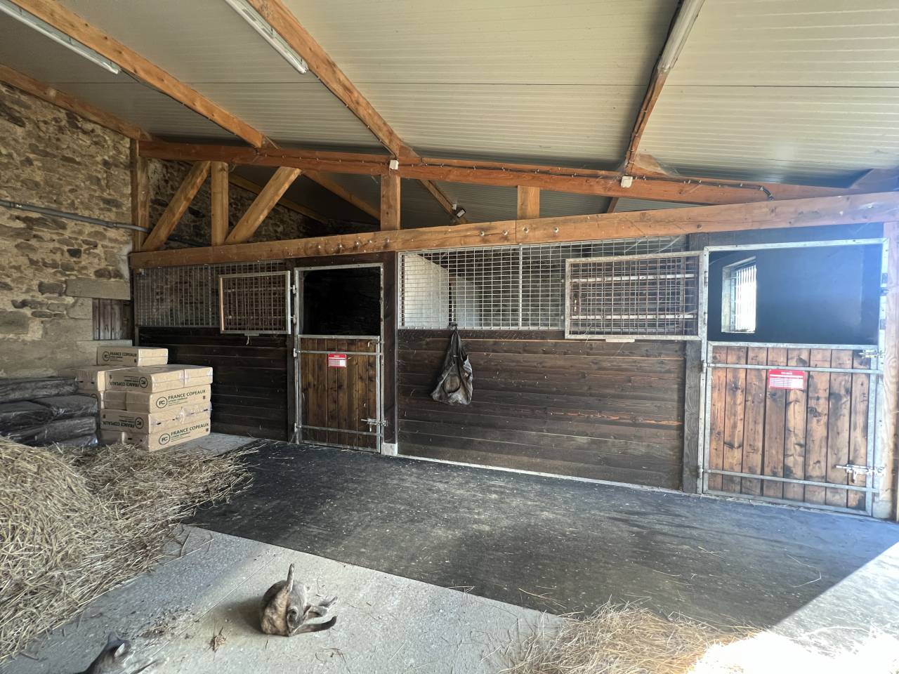 Centro di stagione cavallo In vendita Allier