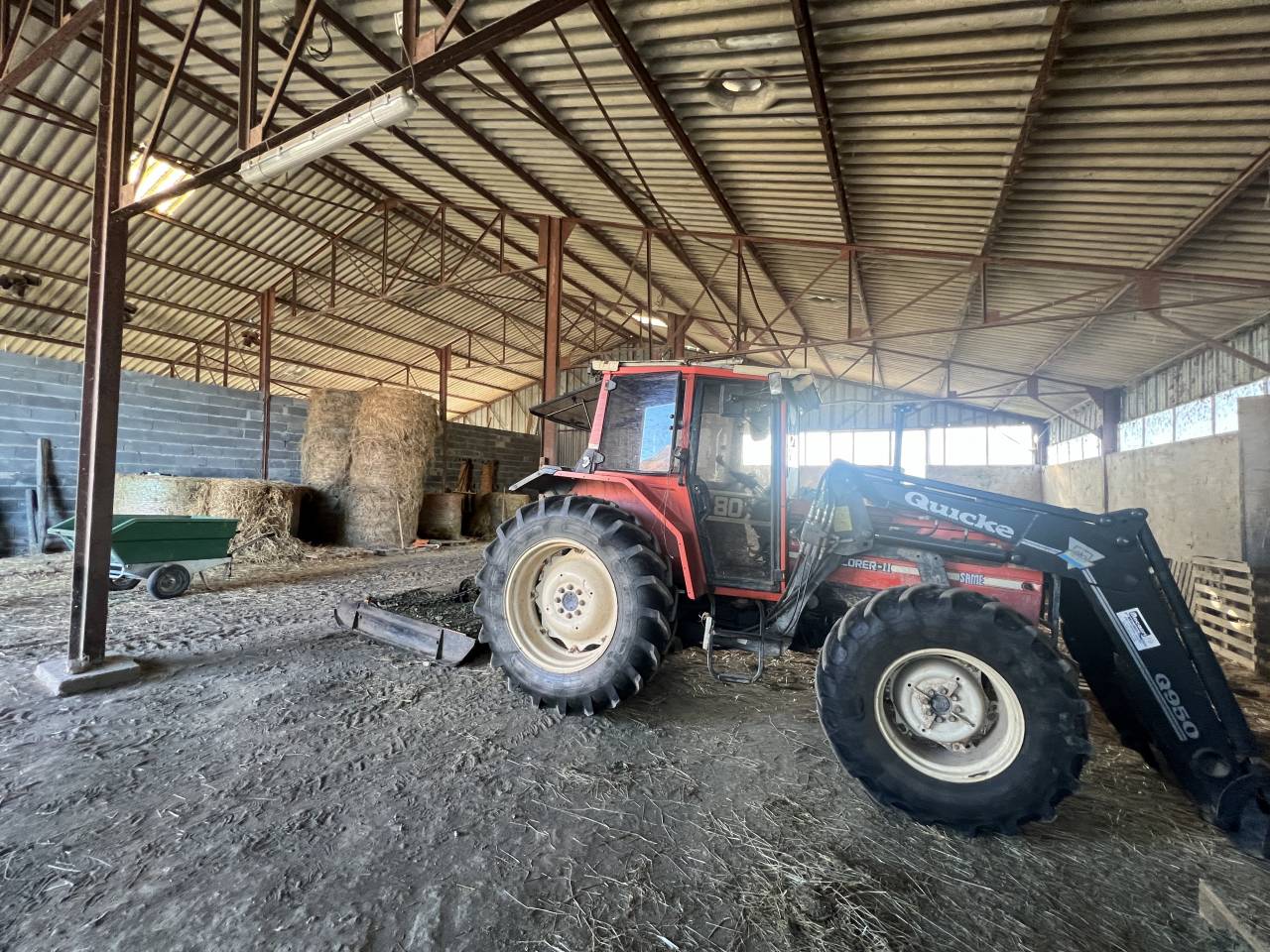 Centro di stagione cavallo In vendita Allier