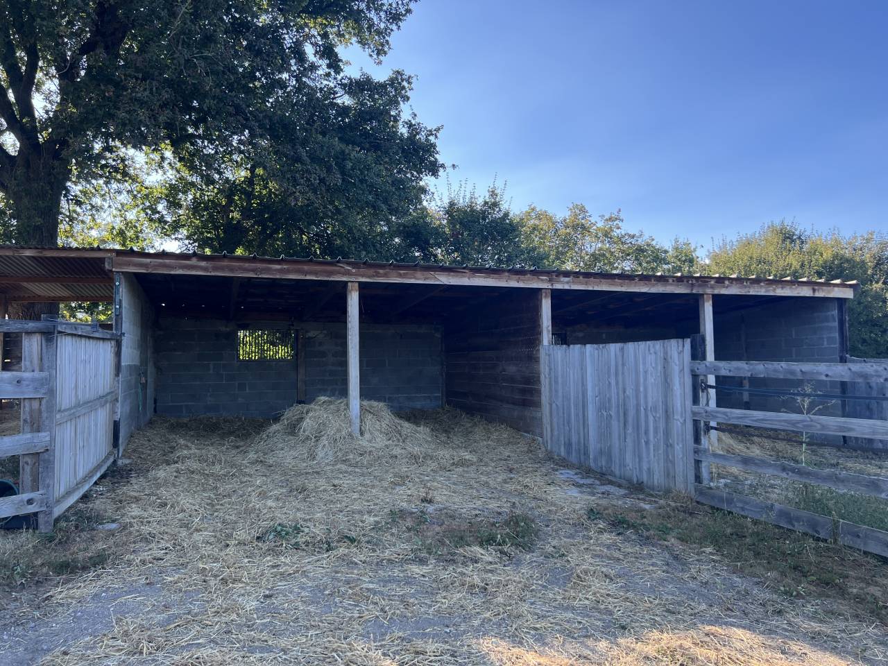 Centro di stagione cavallo In vendita Allier