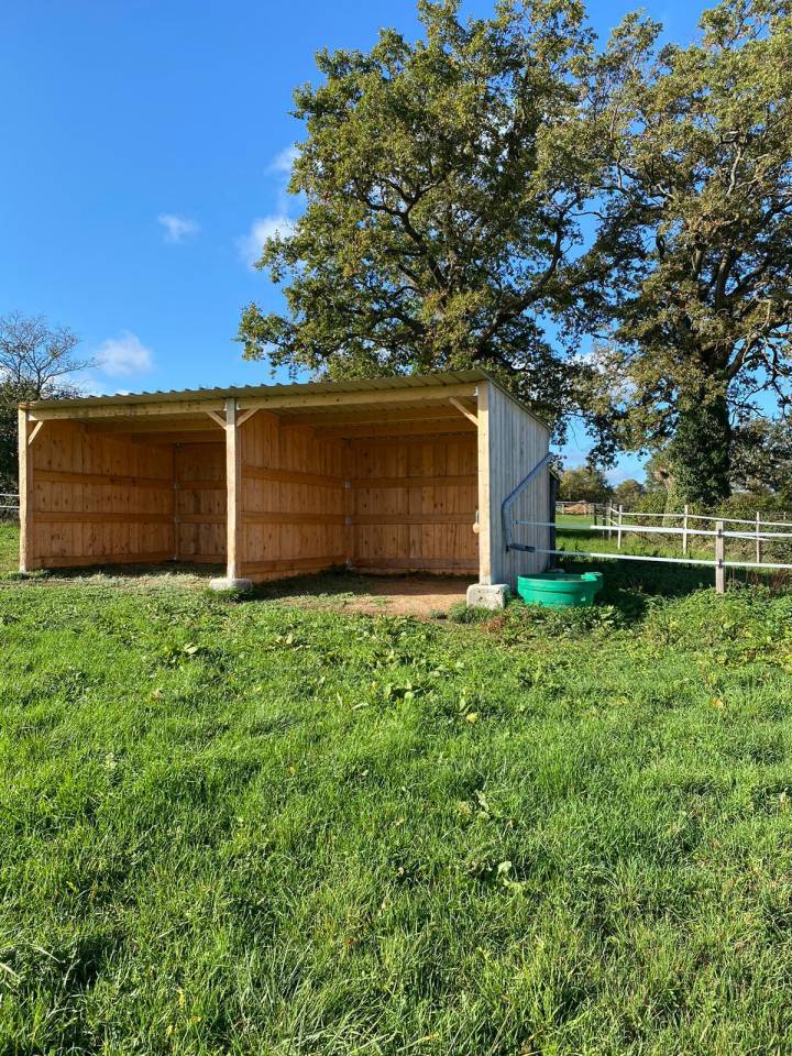 Centro di stagione cavallo In vendita Allier
