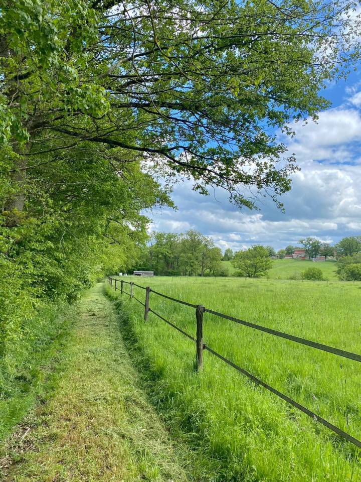 Centro di stagione cavallo In vendita Allier