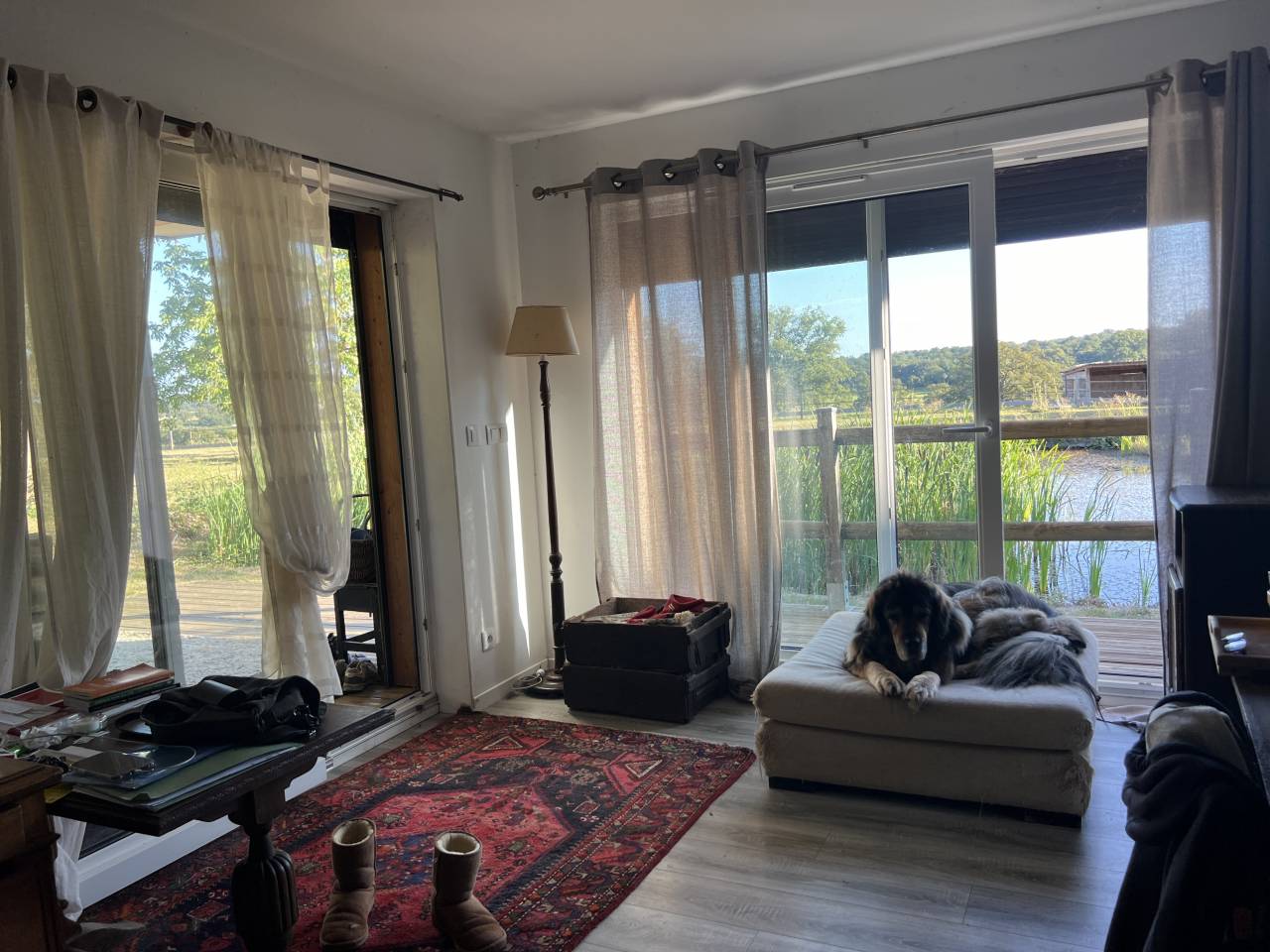 Centro di stagione cavallo In vendita Allier