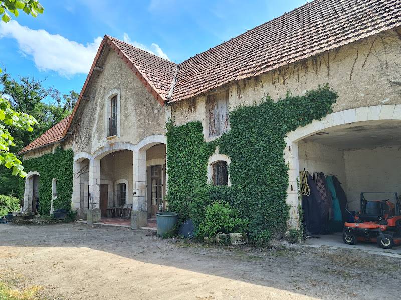 Castello In vendita Vienne