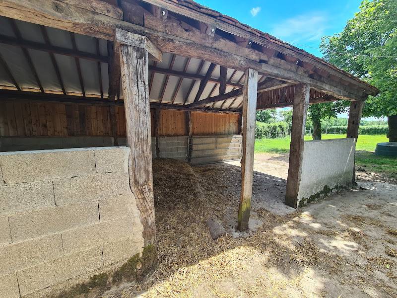 Castello In vendita Vienne