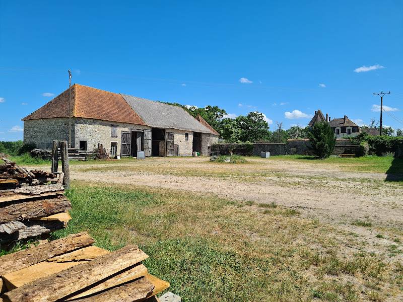 Castello In vendita Vienne
