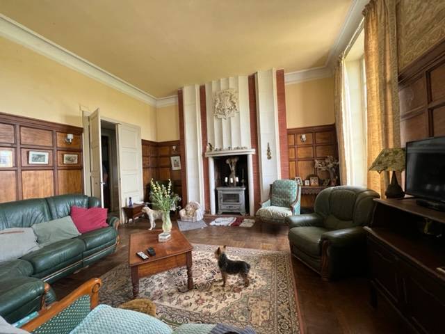 Castello In vendita Vienne