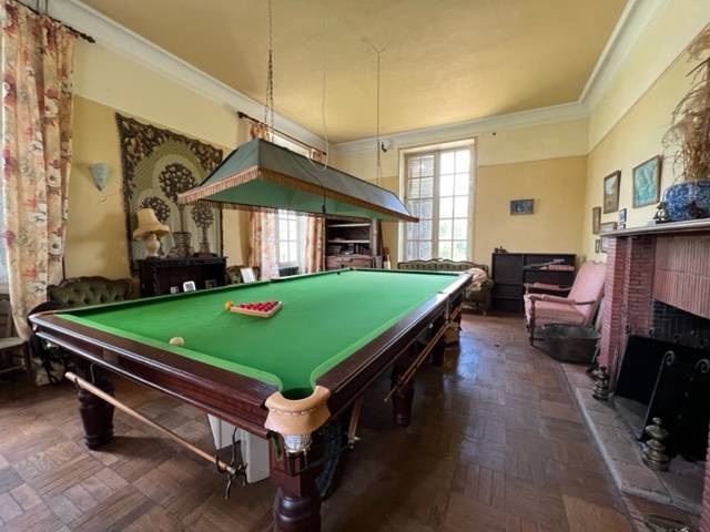 Castello In vendita Vienne